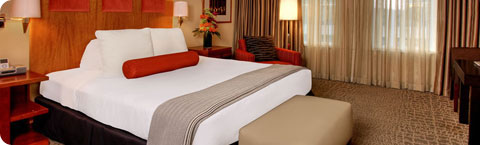 Executive King room at Hotel Palomar SF