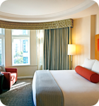 Luxury Pet Friendly Hotel