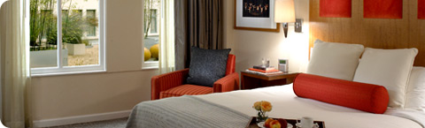 Executive King room at Hotel Palomar SF
